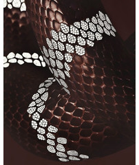 Картина Visionnaire Serpenti