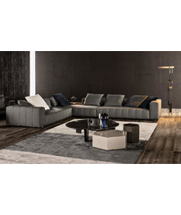 Minotti Freeman Tailor Sofa