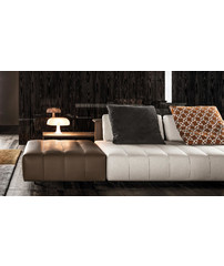 Minotti Freeman Tailor Sofa